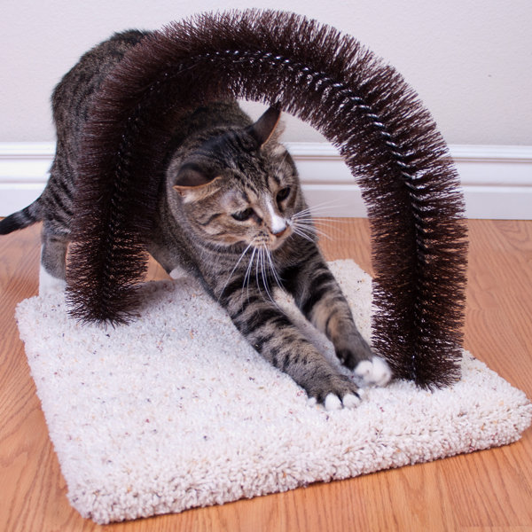 Tucker Murphy Pet™ Cleaveland BrushNScratch Cat Scratcher & Reviews